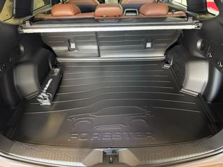 SUBARU Forester usata, con ESP