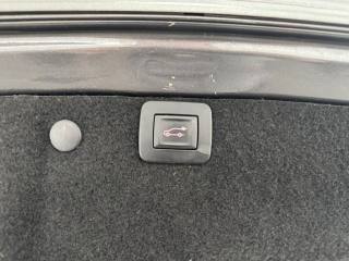 OPEL Insignia usata, con Fendinebbia