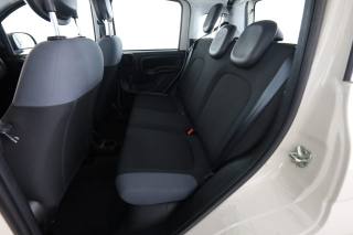 FIAT Panda usata 2