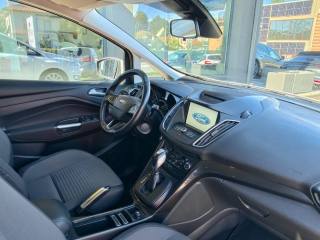 FORD C-Max usata, con Cronologia tagliandi