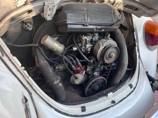 VOLKSWAGEN Maggiolino usata 12