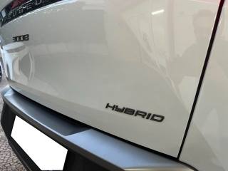 PEUGEOT 3008 usata 29