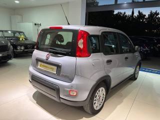FIAT Panda usata, con Chiusura centralizzata