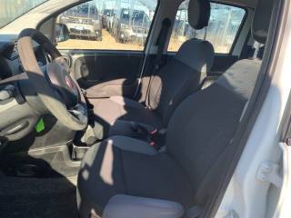FIAT Panda usata, con Controllo trazione