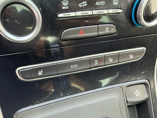 RENAULT Scenic usata, con USB