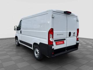 FIAT Ducato usata 2