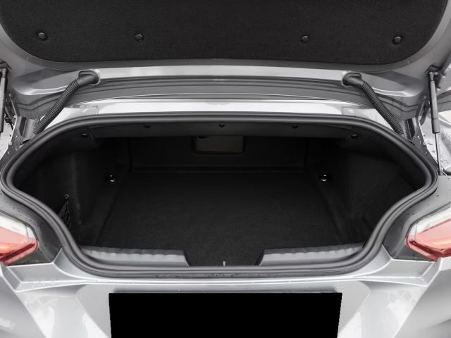 BMW Z4 usata, con Sedili riscaldati