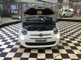 FIAT 500 usata 18