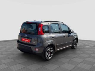FIAT Panda usata 4