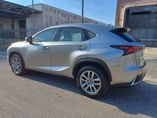 LEXUS NX 300 usata, con Airbag laterali