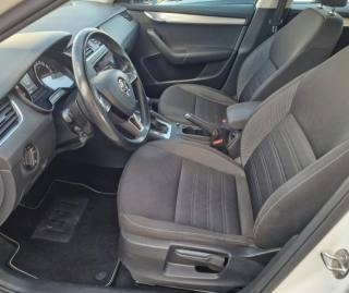 SKODA Octavia usata, con Controllo trazione