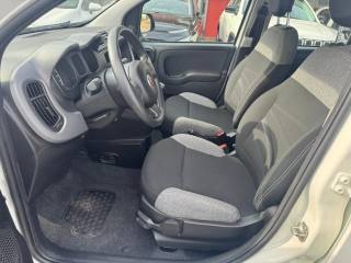 FIAT Panda usata 15