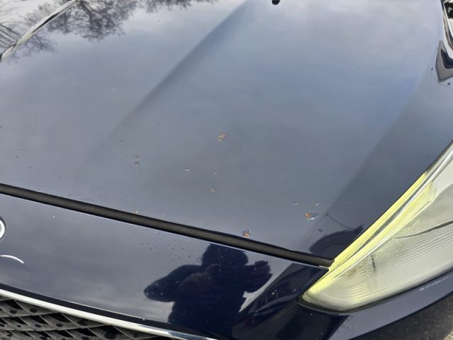 FORD Focus usata, con Chiusura centralizzata