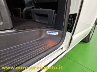 VOLKSWAGEN Multivan usata 51