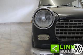 FIAT 1100 usata 13