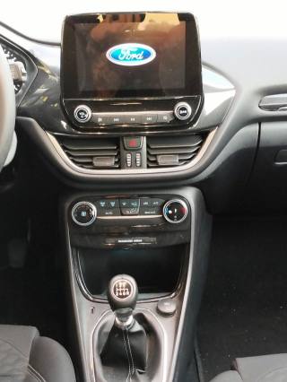 FORD Puma usata, con Cronologia tagliandi