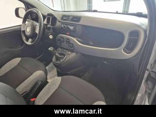 FIAT Panda usata 16