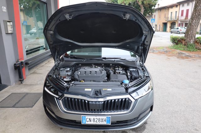 SKODA Octavia usata 171