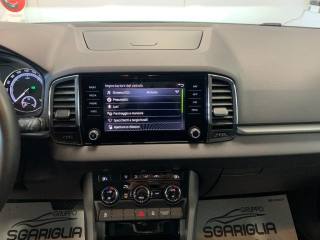 SKODA Karoq usata, con Fendinebbia
