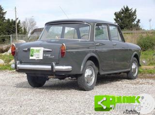 FIAT 1100 usata 6