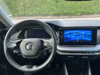 SKODA Octavia usata, con Controllo trazione