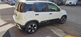 FIAT Panda usata, con Immobilizzatore elettronico