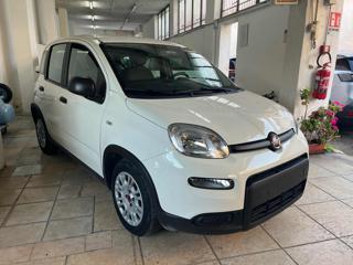 FIAT Panda CITY LIFE 1.0 FireFly S&S Hybrid 70CV