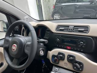 FIAT Panda usata, con Chiusura centralizzata