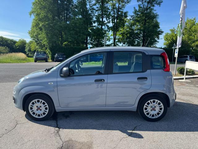 FIAT Panda usata, con Airbag Passeggero