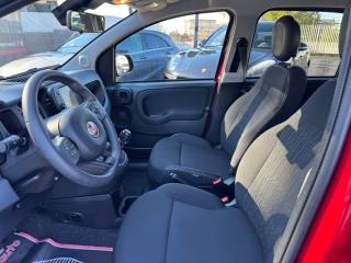 FIAT Panda Cross usata, con Fendinebbia