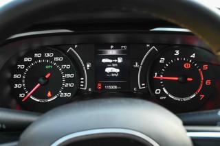 FIAT Tipo usata, con Park Distance Control