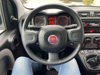 FIAT Panda usata, con Cronologia tagliandi
