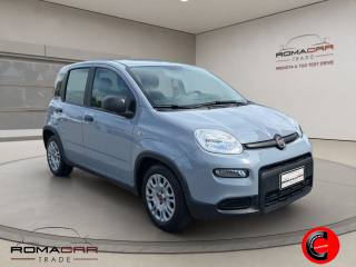 FIAT Panda usata, con Airbag Passeggero