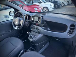 FIAT Panda usata 22