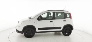 FIAT Panda usata 24
