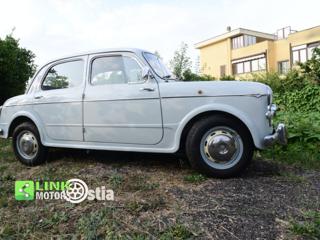 FIAT 1100 usata 5