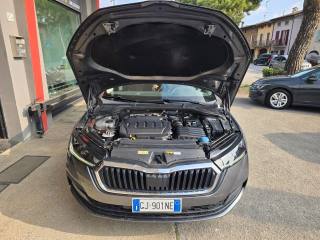 SKODA Octavia usata, con Cruise Control
