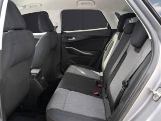 OPEL Grandland X usata, con Cruise Control