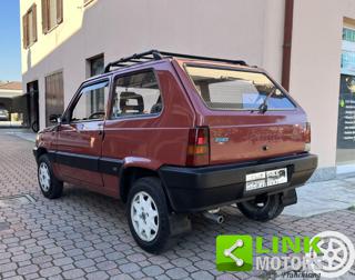 FIAT Panda usata, con Fendinebbia