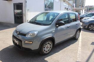 FIAT Panda usata, con ESP