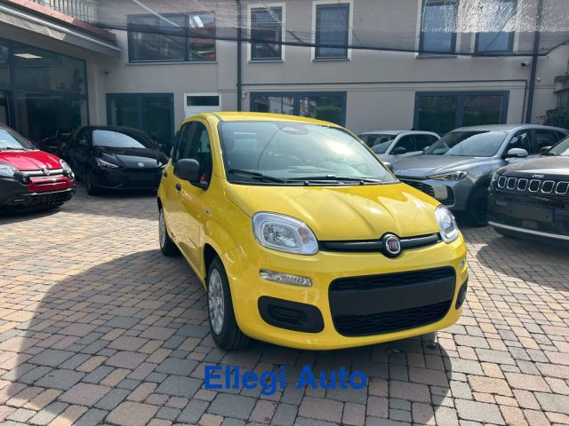 FIAT Pandina usata, con Airbag Passeggero
