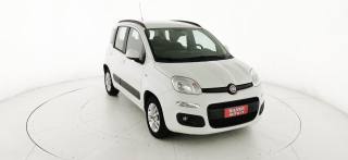 FIAT Panda usata 31