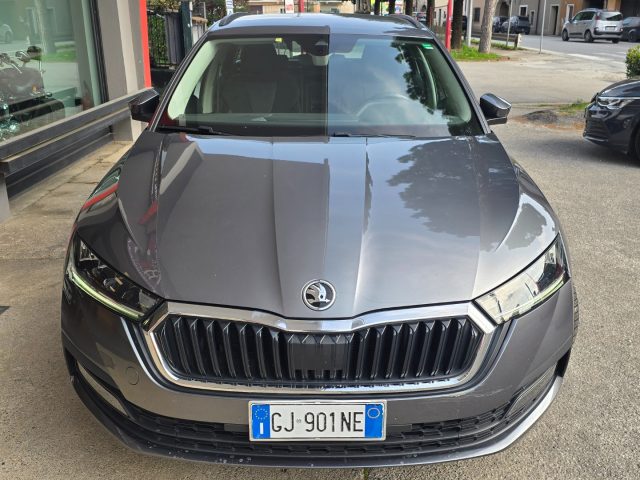SKODA Octavia usata 124