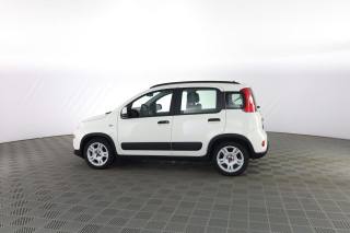 FIAT Panda usata 5