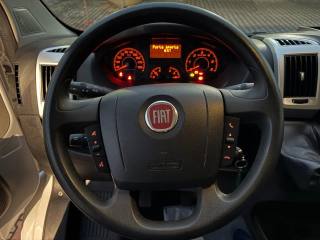 FIAT Ducato usata, con Servosterzo