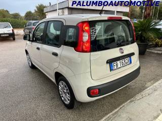 FIAT Panda usata, con Cerchi in lega
