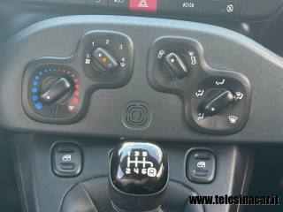 FIAT Panda usata 13