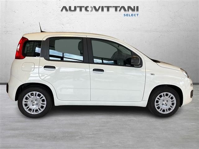 FIAT Panda usata, con Alzacristalli elettrici