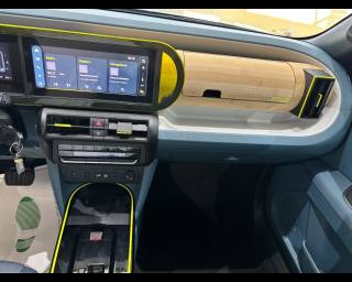 FIAT Grande Panda usata, con ESP