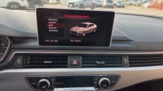 AUDI A5 usata, con Bracciolo